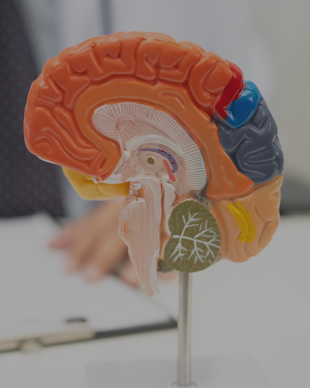 Neurology