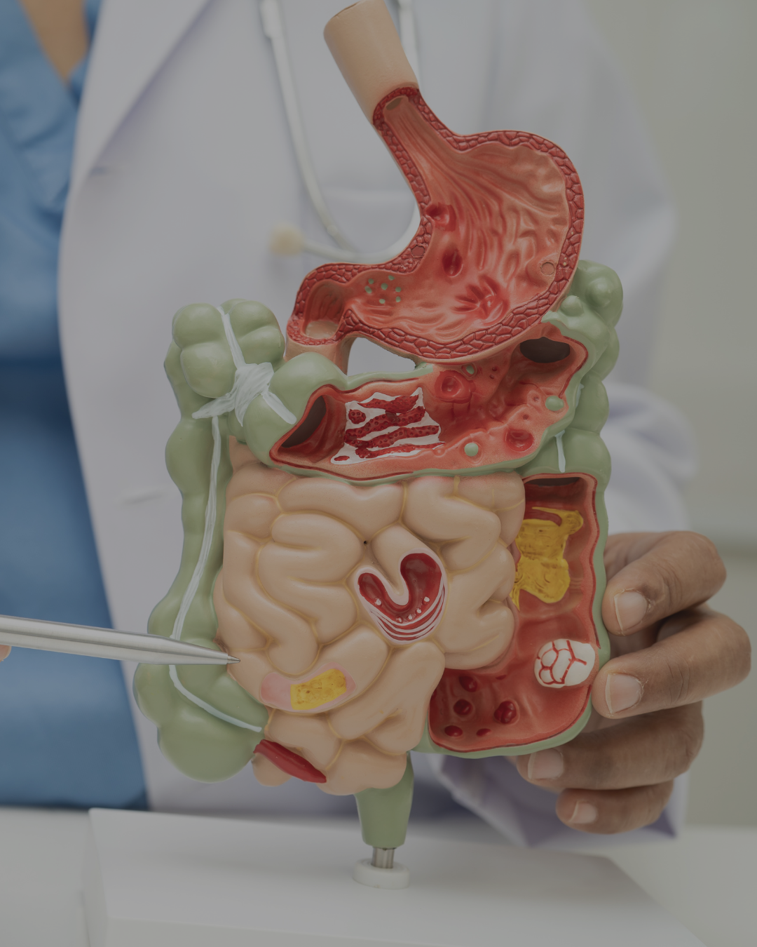 Gastroenterology